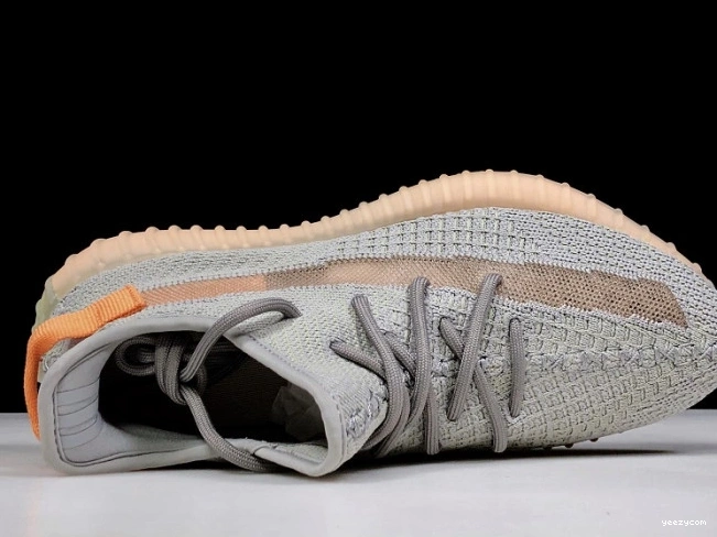 V2 Form Yeezy 350 Boost EG7492 Adidas True 0819
